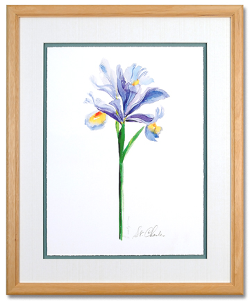 Watercolor Iris I
