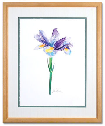 Watercolor Iris II