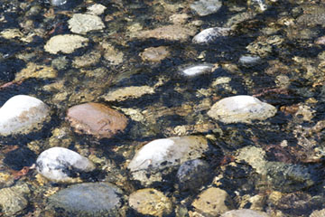Rocks And Water II