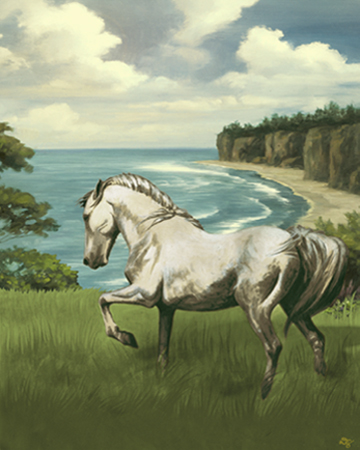 Coastal Stallion